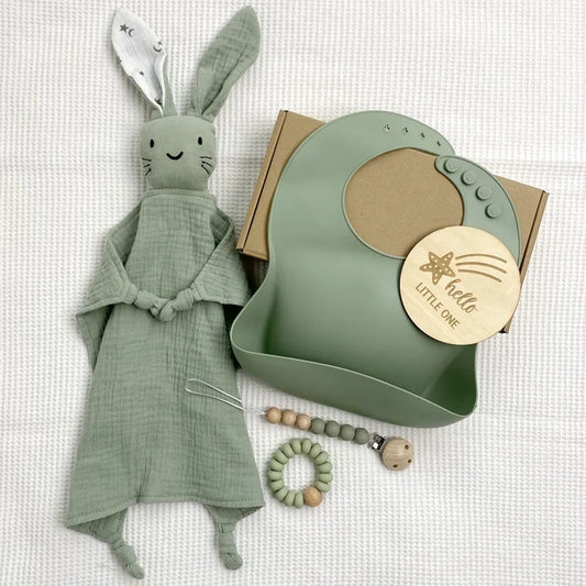 Bunny Comforter Teether Toys Set Baby Gift Box Soft Organic Cotton Teething Ring Bibs Pacifier Clips Biscuit Baby Stuff Bibs