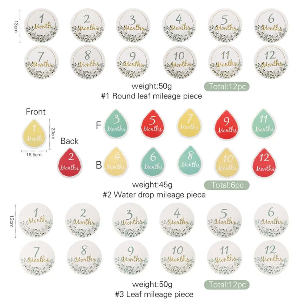 Milestone Monthly Number Cards